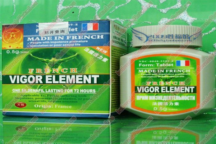 Folder French VIGOR