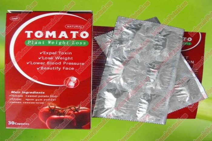 Tomato plant