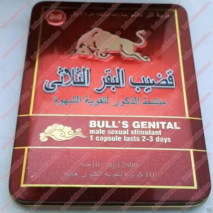 bulls genital
